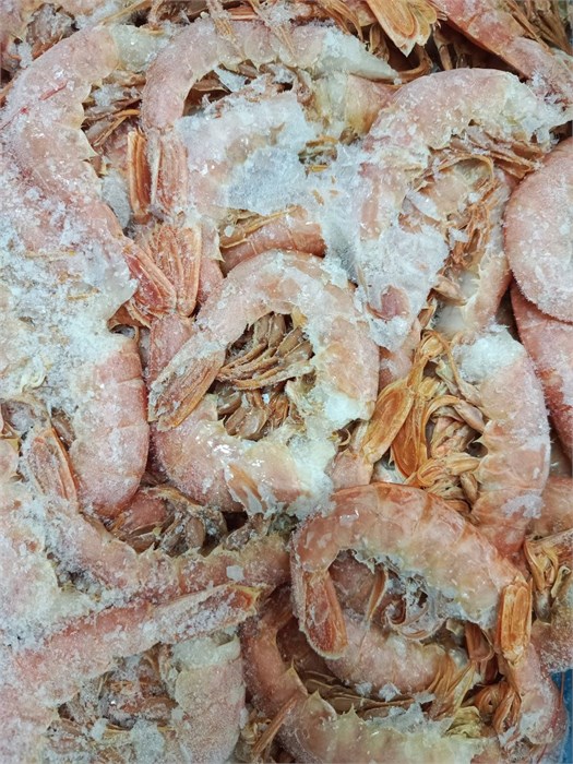 Креветка Аргентинская б/г С2 (ДД) 35620 - фото 160