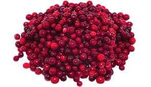 Клюква садовая (ТР) 41026