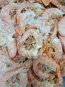 Креветка Аргентинская б/г С2 (ДД) 35620